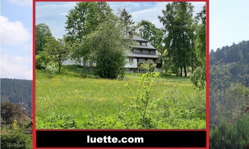 Architektenhaus, Landhaus, modern. aufwendig, stillgerecht renov., Nähe Schluchsee, Feldberg, Bauerei Waldhaus, ruh L., Badesee