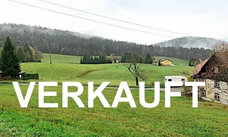 VERKAUFT i. 2019 - 3-Zi-Mai.-ETW, frisch renoviert, Vinyl-Boden, Wohnkü., 2 Blke, freier Sicht in Naturlandschaft, ideale Ferienwohnung