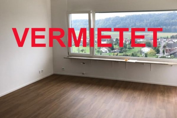 VERMIETET i. 2022 - 2-Zi-Whg, Waldshut Rheinstraße, beste Lage, Lift, Südbalkon, traumhafter Blick, moderne EBK, neues Bad, Wohnung wurde vollständig neu saniert