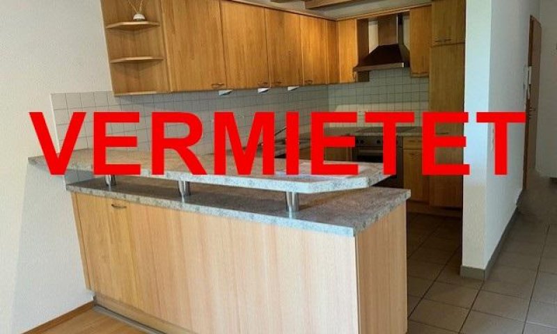 VERMIETET i. 2025 - 3-Zi-Whg, EBK, Parkett, Südbalkon, Rheinblick, Wärmepumpe, ebenerdiger Zugang, Garage, Waldshut-Haspel