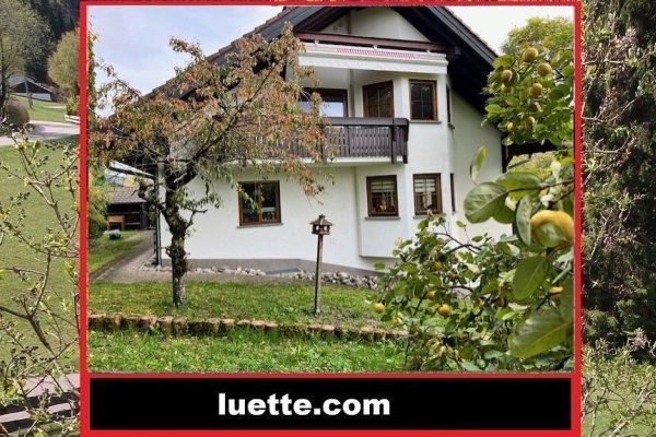 Waldshut 4-Zi-ETW, Blk., 3WE, Parkett, Schwedenofen, EBK, sof., ruh. Ortsrand