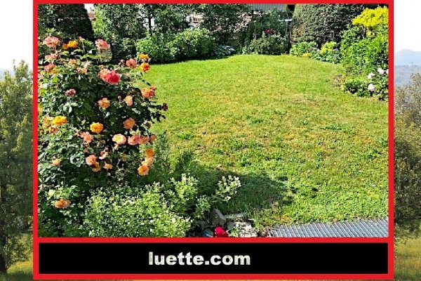 Einfamilienhaus (DHH), 7 ½ Zi, ca. 153 m² Wohnfl., in ruhiger, sonniger Lage, ideal für Familie mit Kindern, Holzpellet-HZ erneuert, mod. EBK, Wintergarten, ebenerdiges Rasengrundstück, Naturzaun, Schwedenofen, 2 Bäder, EG neuwertig, Garage