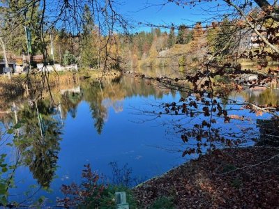Hochw. sanierte, charmante Haushälfte Dachsberg, Klosterweiher, sonnig, nebelfrei, Wohnen in gesundem Klima, ca. 145 m² Wohnfl., 2 Bäder, Ost- und Südgartenfreisitz