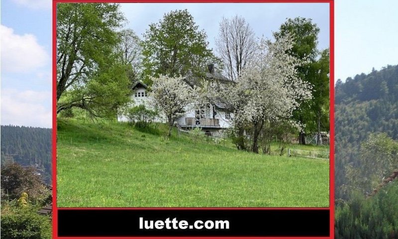 
Inmitten der idyllischen Lage von Dachsberg, Nahe Klosterweiher, präsentiert sich dieses außergewöhnlich sanierte ehemalige Schwesternhaus als eine mod. Wohlfühloase. Hauptgebäude ca. 161 m² Wohnfl., zusätzl. Anbau ca. 145 m² Wohnfl.