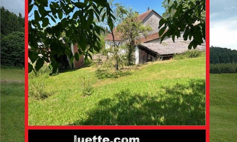 Für Heimwerker, Garagen, Schopf, Abstellunterstände, Wiesen, alter Baumbestand, Areal ca. 1.340m², älteres Wohnhaus, 4 Zi, EBK, Duschbad, Sauna, gedeckter Aussengartenfreisitz, Öl-ZH, HolzHZ, DG Ausbaureserve, Keller, gepfl. Hofplatz, 2Anliegerzufahrten