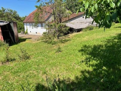Für Heimwerker, Garagen, Schopf, Abstellunterstände, Wiesen, alter Baumbestand, Areal ca. 1.340m², älteres Wohnhaus, 4 Zi, EBK, Duschbad, Sauna, gedeckter Aussengartenfreisitz, Öl-ZH, HolzHZ, DG Ausbaureserve, Keller, gepfl. Hofplatz, 2Anliegerzufahrten