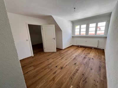 Willkommen in Ihrer neu renovierten 4-Zi-Whg Am Kurpark, Dom, in denkmalgeschütztem Gebäude, zentral gelegen, EBK / Türen / Holzpellet-Heizung erneuert, traumhafte Aussicht auf Park