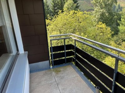 Charmante sonnige, lichtdurchflutete, modernisierte 2-Zi-Mais-Ferien-ETW Falkau, Dachterrasse zusätzlich Balkon, Blick in die Natur, EBK, zahlreiche Einbauten, neue Fenster und Bodenbeläge, neue Öl-Brennwert-Heizung, sep. Warmwasseraufbereitung, Keller