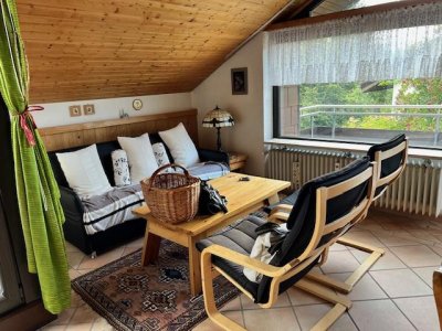 Charmante sonnige, lichtdurchflutete, modernisierte 2-Zi-Mais-Ferien-ETW Falkau, Dachterrasse zusätzlich Balkon, Blick in die Natur, EBK, zahlreiche Einbauten, neue Fenster und Bodenbeläge, neue Öl-Brennwert-Heizung, sep. Warmwasseraufbereitung, Keller