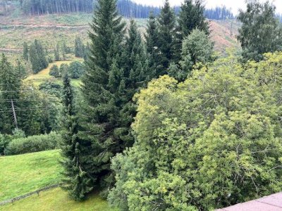 Charmante sonnige, lichtdurchflutete, modernisierte 2-Zi-Mais-Ferien-ETW Falkau, Dachterrasse zusätzlich Balkon, Blick in die Natur, EBK, zahlreiche Einbauten, neue Fenster und Bodenbeläge, neue Öl-Brennwert-Heizung, sep. Warmwasseraufbereitung, Keller