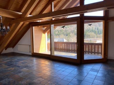 Haus im Haus / Penthouse Stühlingen, Grenzübergang Zürich, gr. Sonnenblk., Kamin, Badelandschaft, Galerie, Fb-Heiz., zahlreiche Einbauschränke