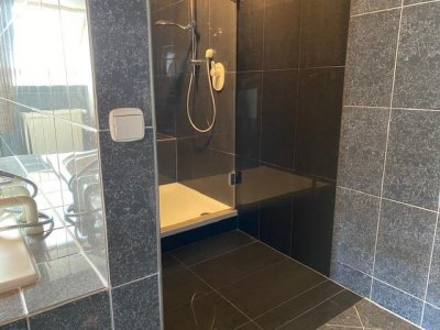 Haus im Haus / Penthouse Stühlingen, Grenzübergang Zürich, gr. Sonnenblk., Kamin, Badelandschaft, Galerie, Fb-Heiz., zahlreiche Einbauschränke