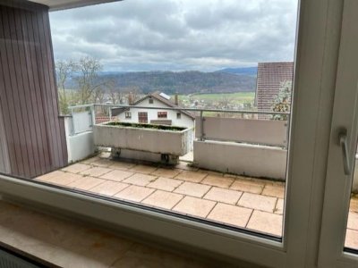 Attraktive grosszügige 4 ½-Zi-ETW, Waldshut-Haspel, Villenlage, Rheinblick, grosser Südblk., Terrasse, Gartenfreisitz, Grillplatz, neue Bodenbeläge, Aussenwände gedämmt, neue Fenster, Kunststoff aussen Alu, 3fach-Verglasung