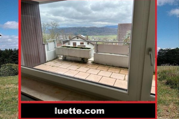 Vermietete 4 ½-Zi-ETW, Rheinblick, beliebte Lage Waldshut-Haspel, grosser Blk. + Terrasse, Grst, Fenster und innen erneuert