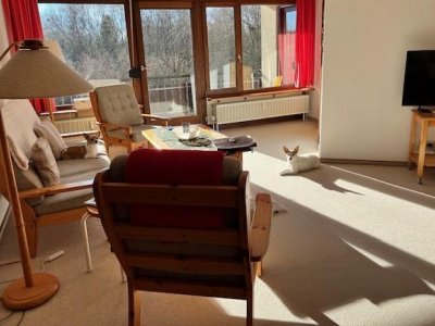 Gut geschnittene, sonnige 2 ½-Zi-ETW im 