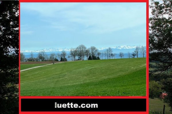 Sonnige 2 ½-Zi-ETW im 