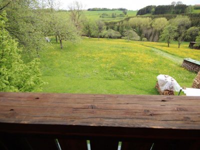 Ehem. BauernH. / LandH. Remetschwiel, Solar, Stückholzheizung, Schwedenofen, 8 Zimmer, Balkon, überdachter Freisitz, Scheune, Garage