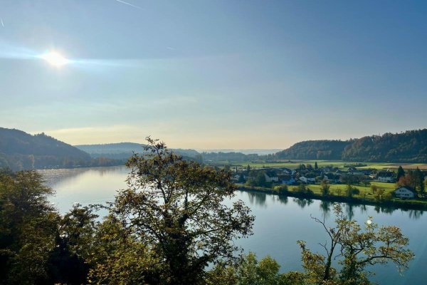 herrlicher Panoramarheinblick