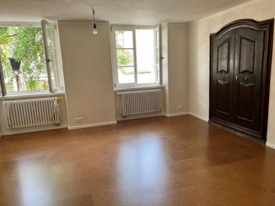 Gemütliche, charmante, neuw., hochwertig energetisch, energieeffiziente, renov., 2 ½-Zi-W. Waldshut Rheinstraße, grosse Sonnenterrasse, EBK, eigene Heizung, in beliebter Top Lage