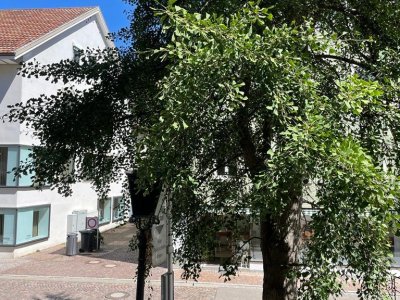 Gemütliche, charmante, neuw., hochwertig energetisch, energieeffiziente, renov., 2 ½-Zi-W. Waldshut Rheinstraße, grosse Sonnenterrasse, EBK, eigene Heizung, in beliebter Top Lage