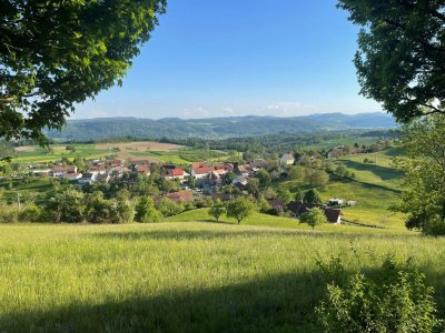 Architektenhaus – charmantes, lichtdurchflutetes EFH i. gr. Grundstück eingebettet, Sonnenterrasse, Gartenhaus, alter Baumbestand, Garage