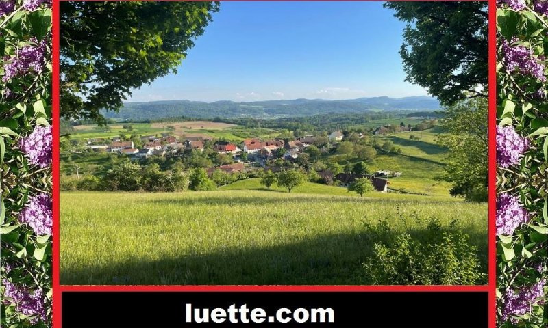 Charmantes, gepflegtes, regelmässig renov. EFH mit idyllischem Gartenfreisitz und hochwertiger Ausstattung – Ihr neues Zuhause mit traumhaftem Bergblick
gr. Sonnenterr., alter Baumbestand, ruh. Lage, Zentralheizung von 2004, Schwedenofen, Kunst, Garage