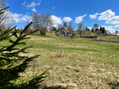 EFH - Architektenhaus, hochw. Innengestaltung u. Ausführung, Ihre neue Wohlfühloase Büro, Studio, Nähe Schluchsee ca. 18km, ca. 4,5km St. Blasien, Feldberg, Bauerei Waldhaus, Badesee 