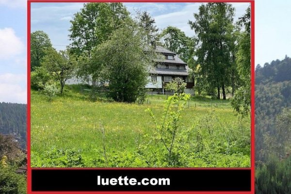 Mod. aufwendig, architektonisch stilgerecht saniertes Landhaus, Teilabriss u. Neuaufbau, hochwertiger, charmanter Innenausbau, Ihre neue Wohlfühloase Nähe Schluchsee, Feldberg, Bauerei Waldhaus, Badesee 