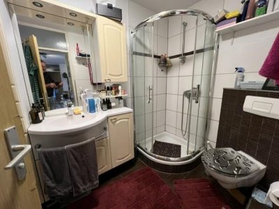 4-5-Zi-ETW Waldshut, Alpenblick, ruhige L., ca. 106 m² Wohnfl., Lift, gr. Balkon, EBK, modernes Bad, sep. WC