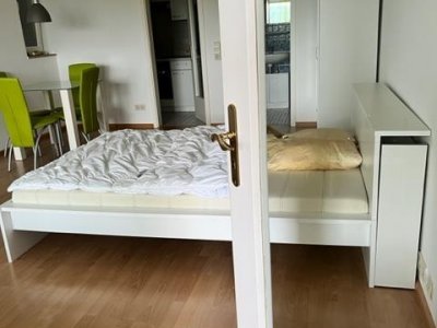 Attraktive sep. zugängl. 1-Zi-Terrassen-Whg Waldshut-Haspel, ruhig, beliebte stadtnahe Lage, gr. überd. Sonnenterrasse, Windfang, EBK, teilmöbliert, Fenster erneuert K-Wert 1,0